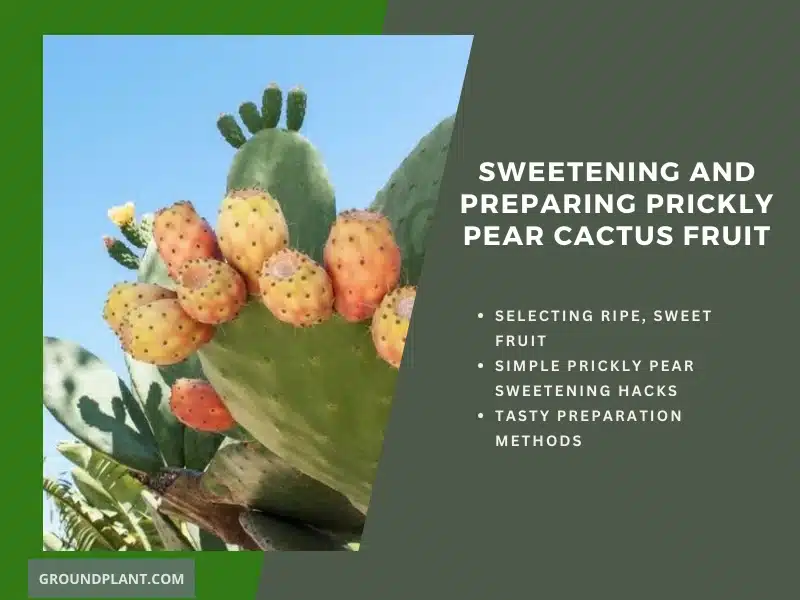 Sweetening and Preparing Prickly Pear Cactus Fruit.