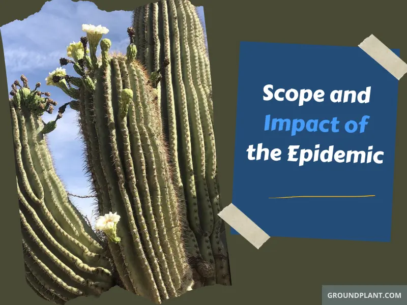Scope and Impact of the Epidemic