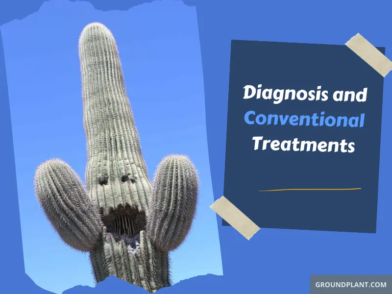 Diagnosis and Conventional Treatments