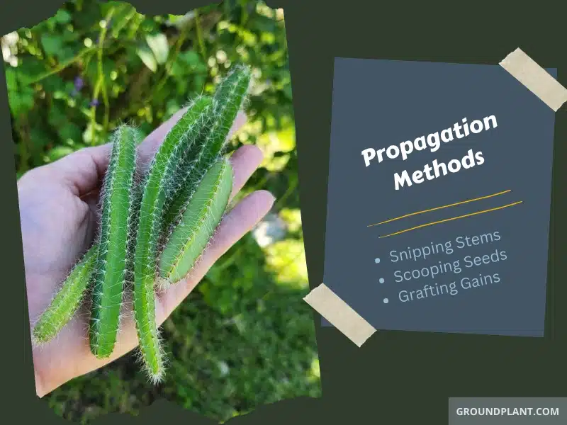 Propagation Methods