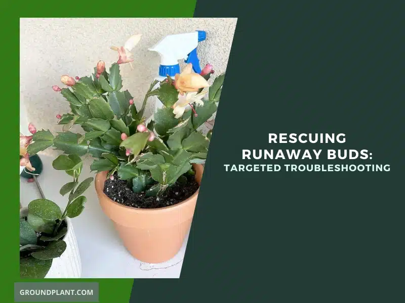Rescuing Runaway Buds