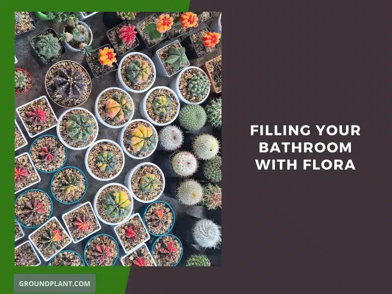 Filling Your Bathroom with Flora - Plants That Thrive in Humid Havens