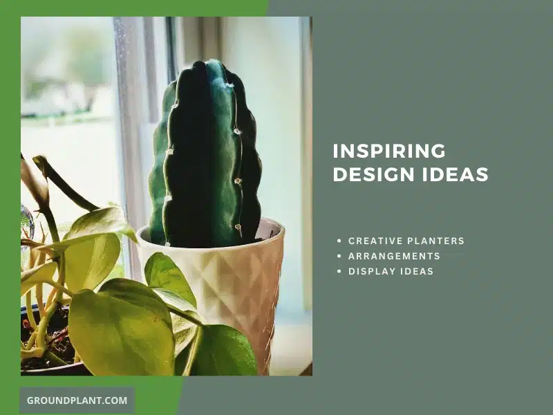 06 Inspiring Design Ideas